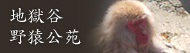 地獄谷野猿公苑