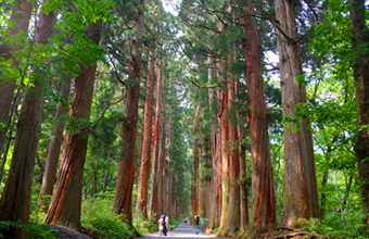 Togakushi Jinjya