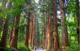 戸隠神社